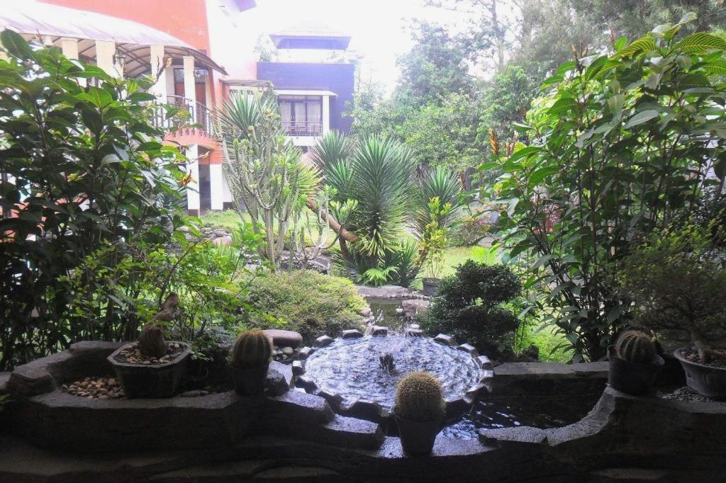 Villa Lemon Lembang Kültér fotó